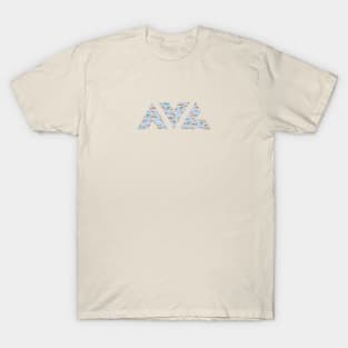 AVL Asheville NC, triangle design with fish T-Shirt